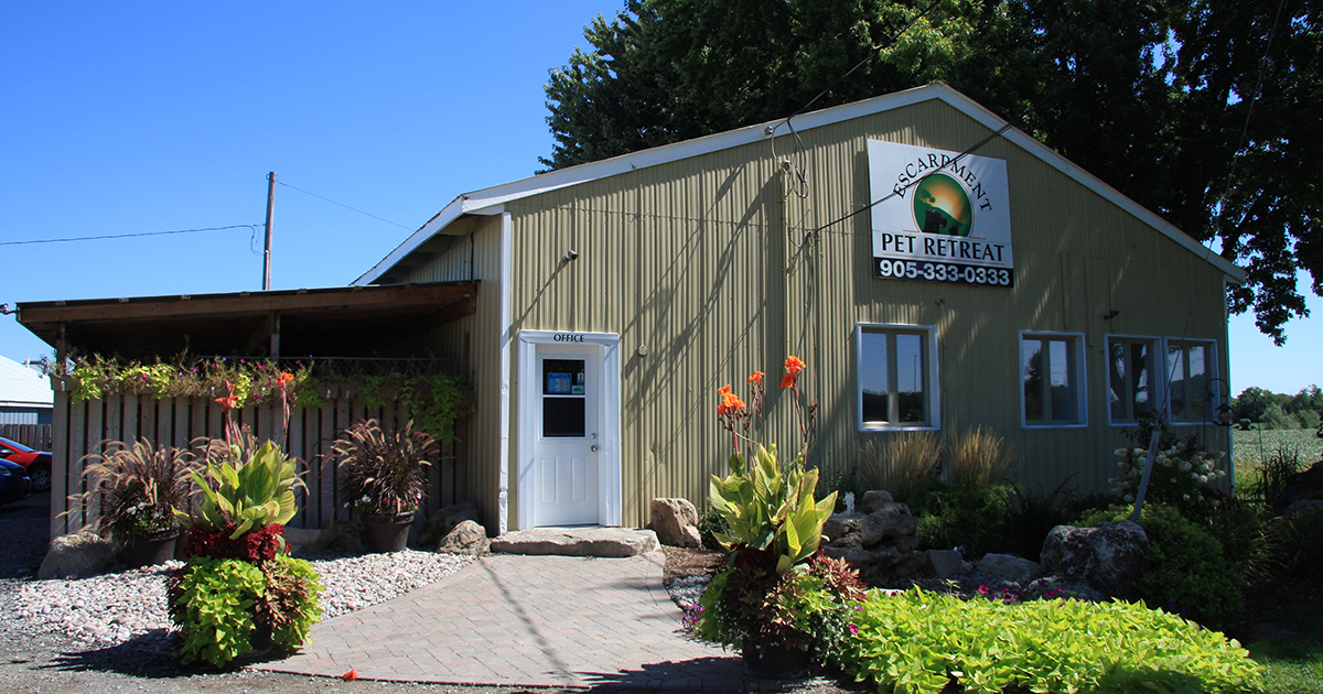 Escarpment Pet Retreat Facility Boarding Kennel Near Burlington